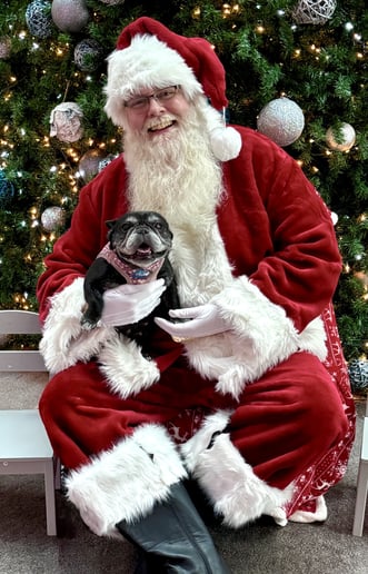 Gallery photo 13 of Santa and Friends!