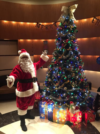 Gallery photo 15 of Santa and Friends!