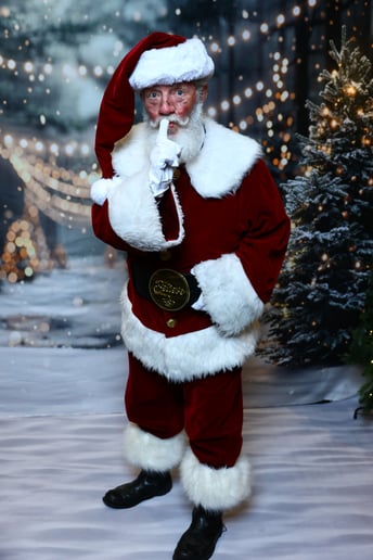 Gallery photo 1 of Santa Walt and Friends