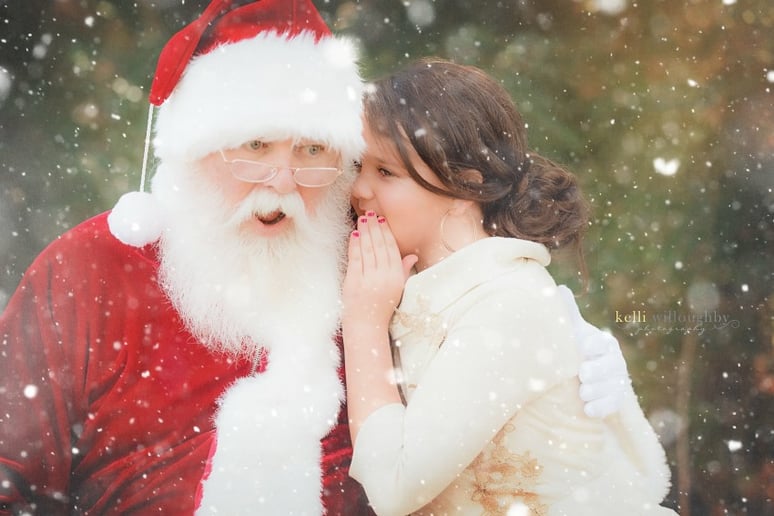Gallery photo 5 of Santa Dave and Mrs M. Claus