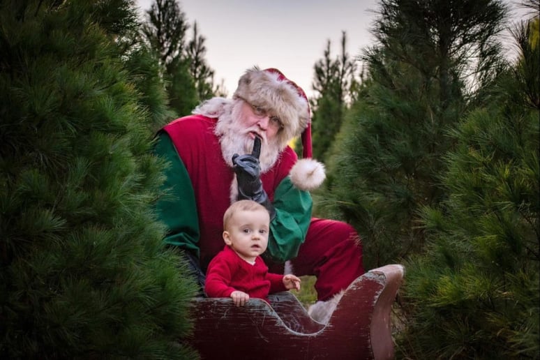Gallery photo 8 of Santa Dave and Mrs. Claus