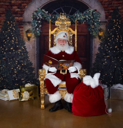 Gallery photo 4 of Santa And Mrs Claus