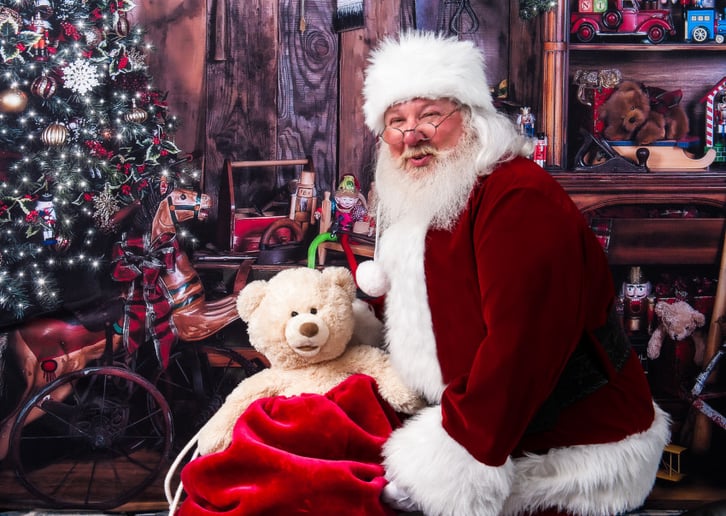 Gallery photo 5 of Santa and Nanny Claus