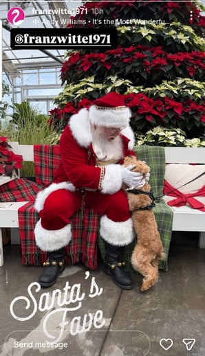 Gallery photo 33 of Santa and the Misses
