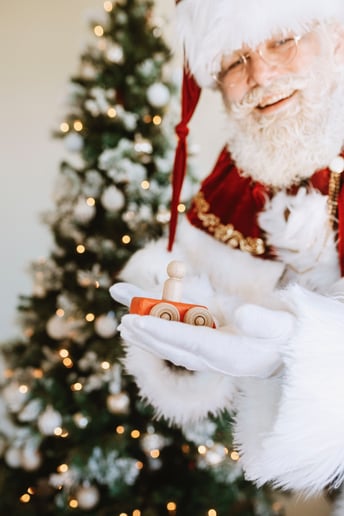 Gallery photo 3 of Santa Andy