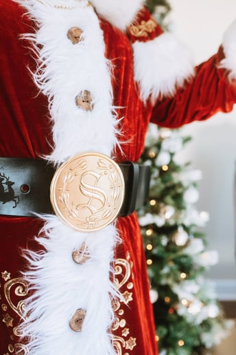 Gallery photo 4 of Santa Andy