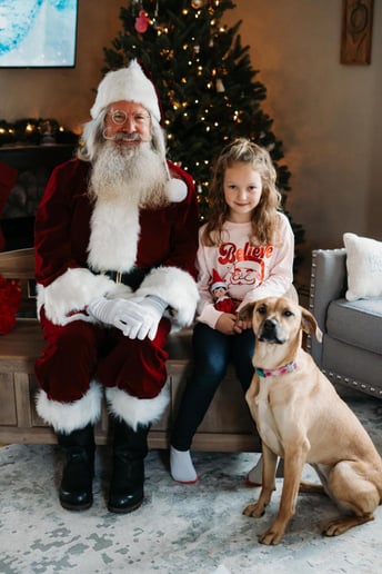 Gallery photo 6 of Santa Andy
