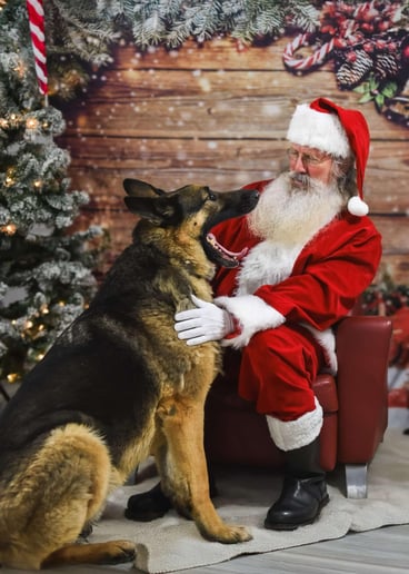 Gallery photo 9 of Santa Andy