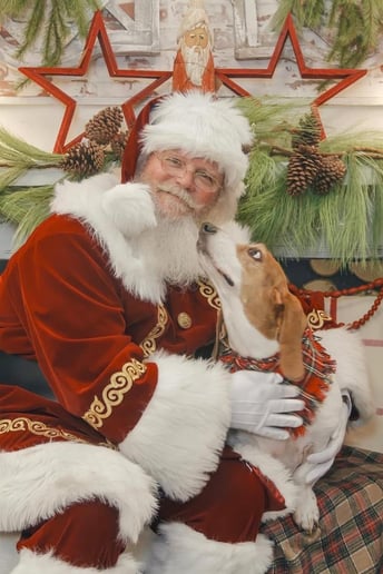 Gallery photo 4 of Santa Armor