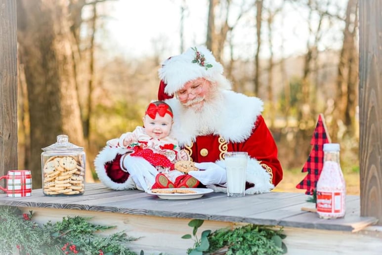 Gallery photo 6 of Santa Armor
