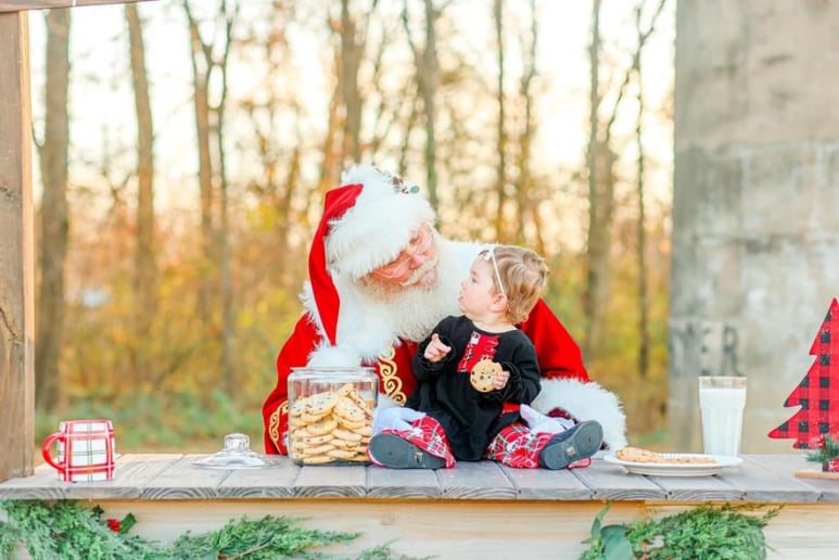 Gallery photo 7 of Santa Armor