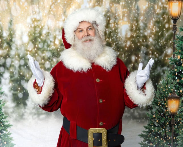 Gallery photo 1 of Santa Arnold
