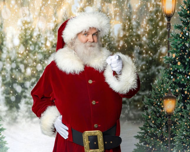 Gallery photo 2 of Santa Arnold