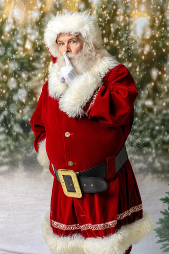 Gallery photo 3 of Santa Arnold