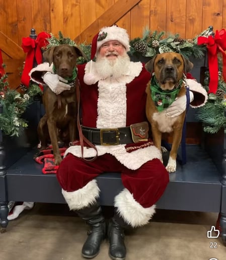 Gallery photo 10 of Santa Aron