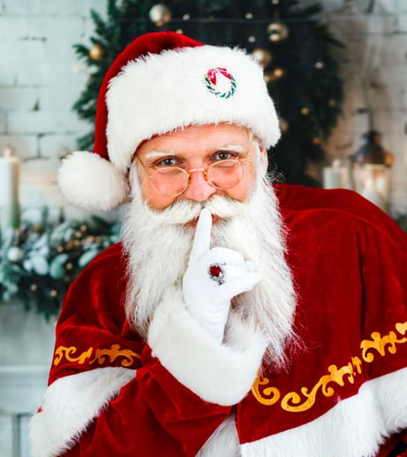 Gallery photo 4 of Santa B Claus