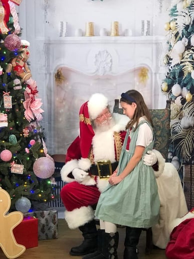 Gallery photo 26 of Santa B Claus