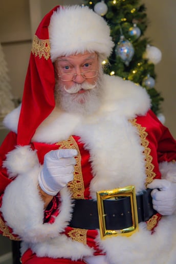Gallery photo 31 of Santa B Claus