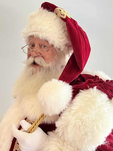 Gallery photo 35 of Santa B Claus