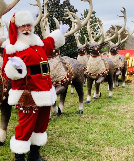 Gallery photo 39 of Santa B Claus