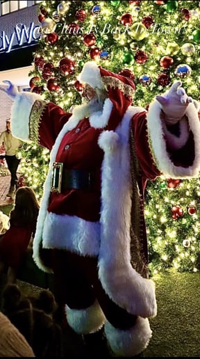 Gallery photo 10 of Santa B Claus