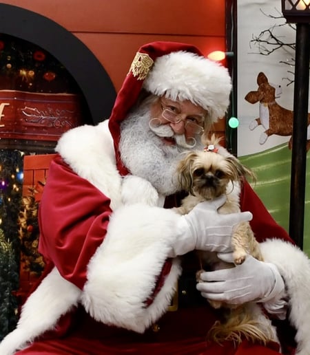 Gallery photo 21 of Santa B Claus
