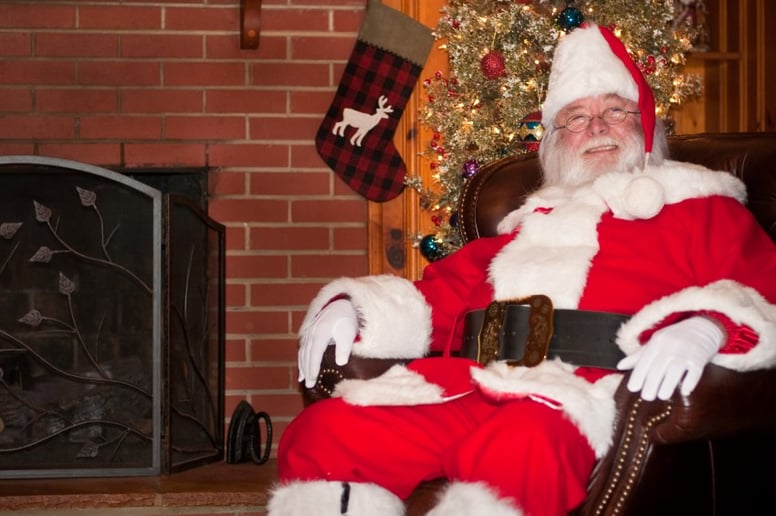 Gallery photo 2 of Santa Barney