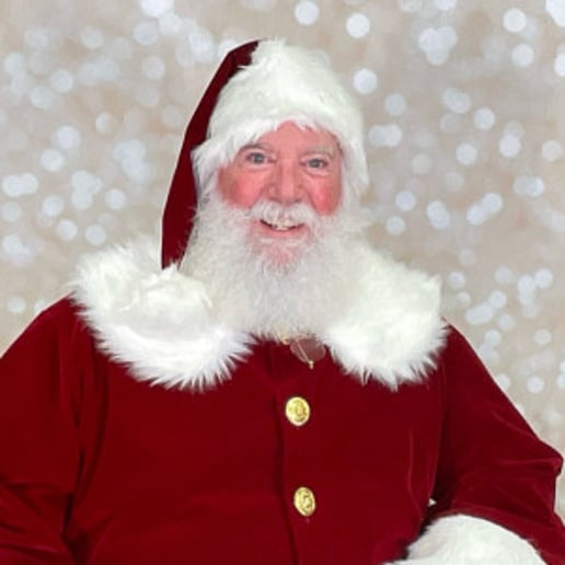 Gallery photo 5 of Santa Barney