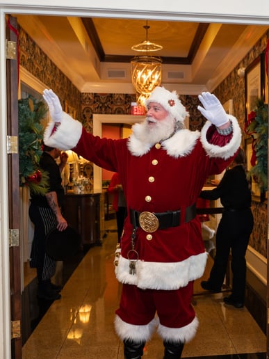 Gallery photo 6 of Santa Barney