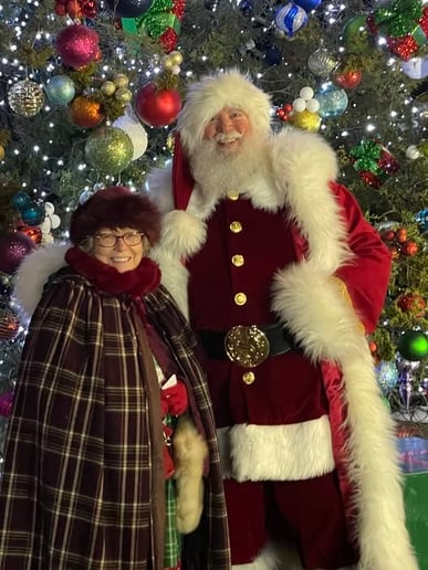 Gallery photo 2 of Santa Barney