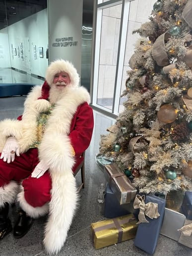 Gallery photo 3 of Santa Barney