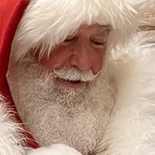 Gallery photo 15 of Santa Barney