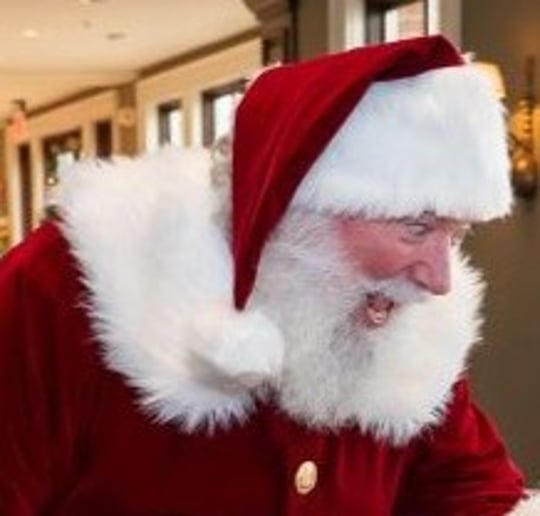 Gallery photo 7 of Santa Barney