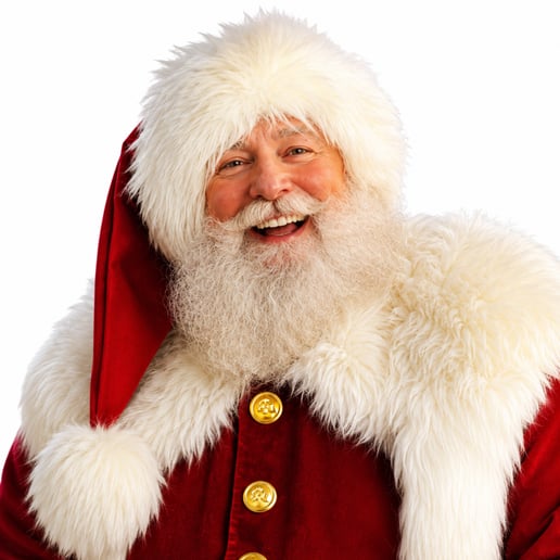 Gallery photo 1 of Santa Barney