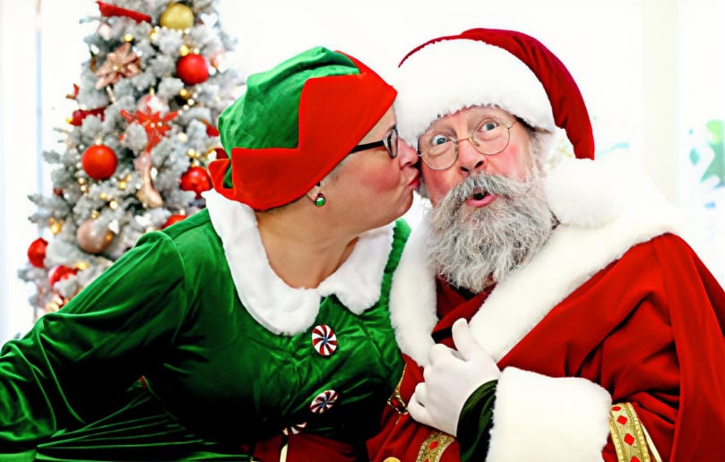 Gallery photo 3 of Santa Beebe