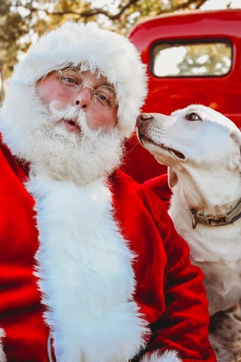 Gallery photo 6 of Santa Bell