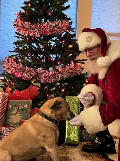 Gallery photo 23 of Santa Ben