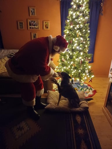 Gallery photo 22 of Santa Ben