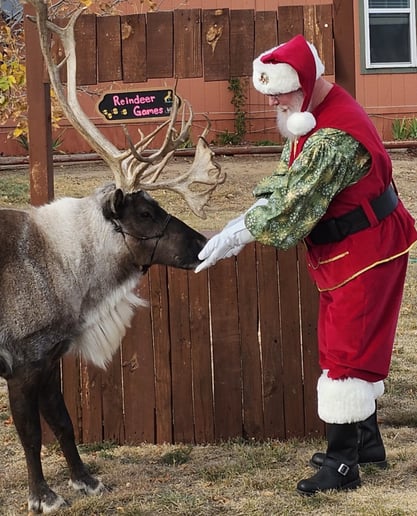 Gallery photo 26 of Santa Ben
