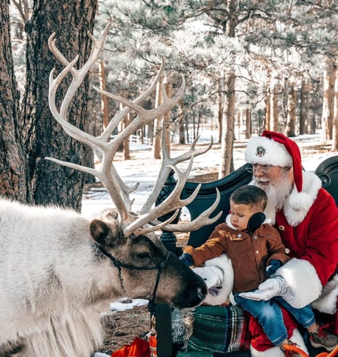 Gallery photo 28 of Santa Ben