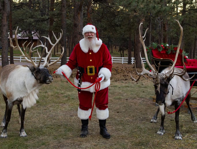 Gallery photo 29 of Santa Ben