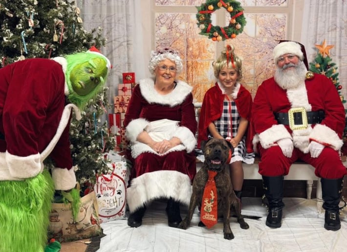 Gallery photo 2 of Santa Ben