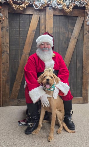 Gallery photo 4 of Santa Ben