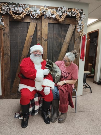 Gallery photo 5 of Santa Ben