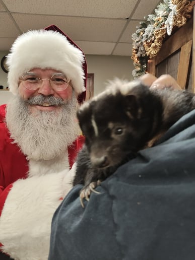 Gallery photo 6 of Santa Ben