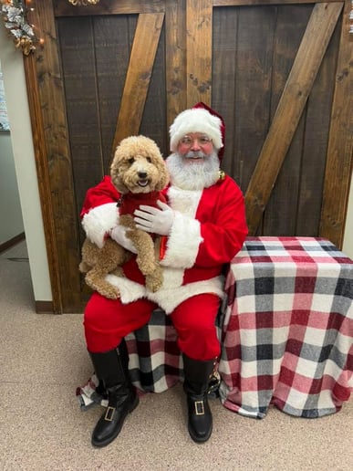 Gallery photo 8 of Santa Ben