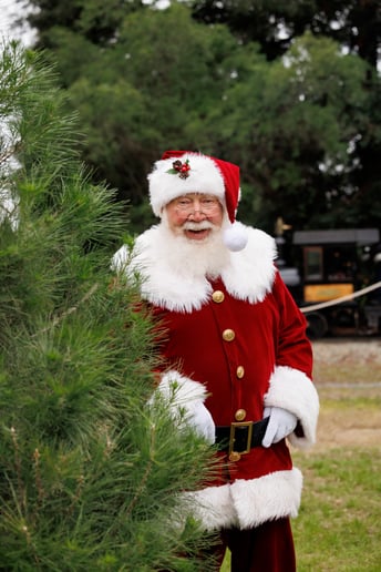 Gallery photo 3 of Santa Ben