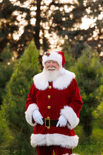 Gallery photo 2 of Santa Ben