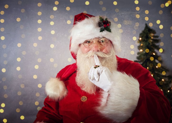 Gallery photo 3 of Santa Benn