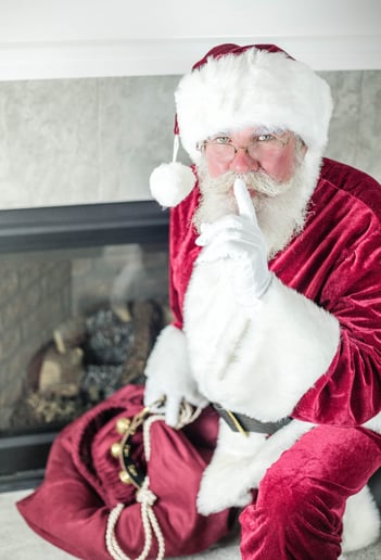 Gallery photo 1 of Santa Bill And Kathy Claus